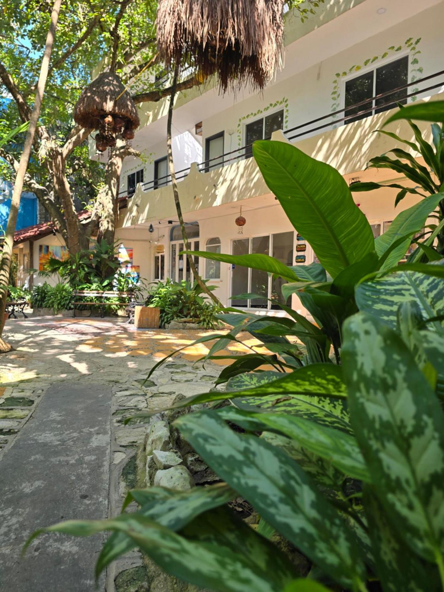Hotel Ha Garden Gallery - 5Th Avenue Плая-дель-Кармен Экстерьер фото