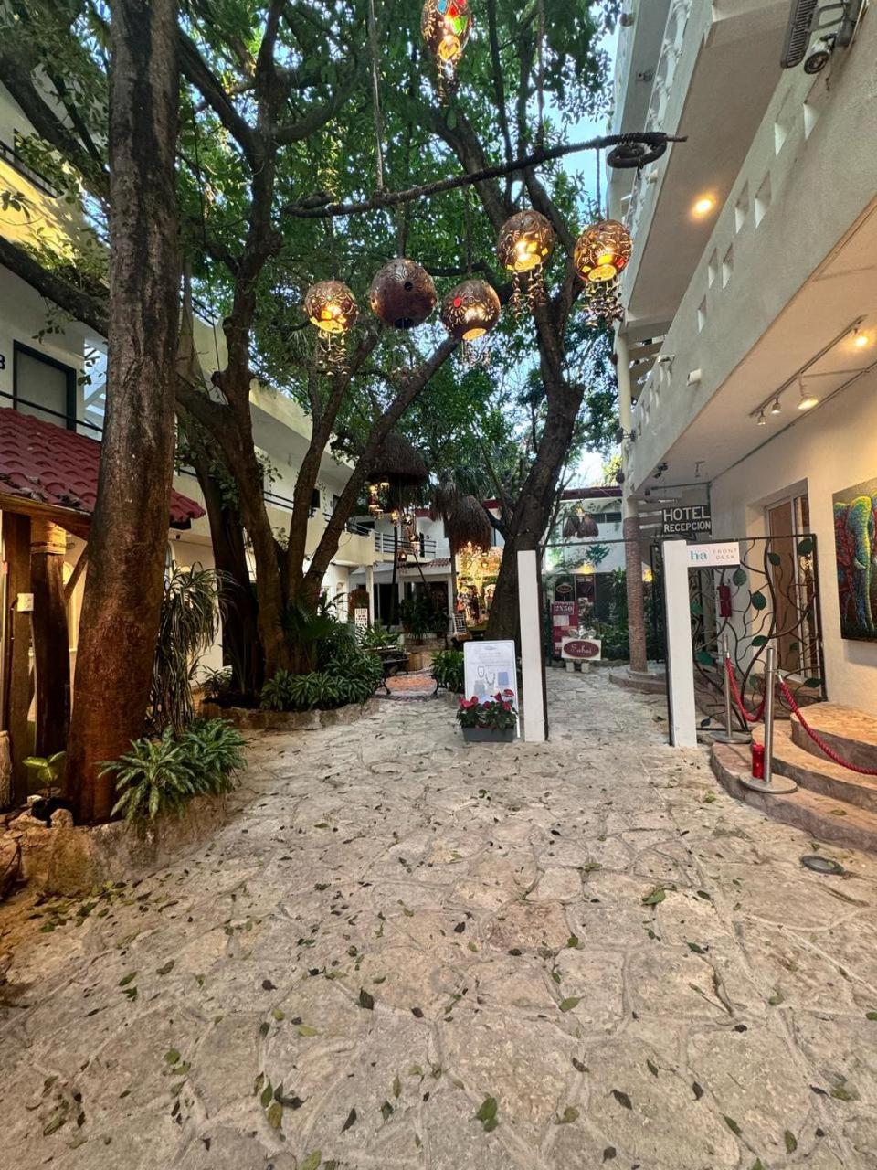 Hotel Ha Garden Gallery - 5Th Avenue Плая-дель-Кармен Экстерьер фото
